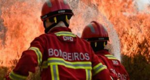 Tondela: Família acusada de tentar aceder indevidamente a apoios após fogos de 2017