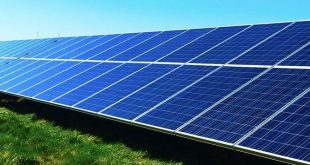 Multinacional investe cerca de 200 ME em central solar em Vila Nova de Paiva