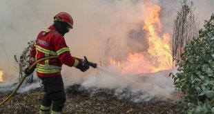 Bombeiros combatem incêndio em Mangualde