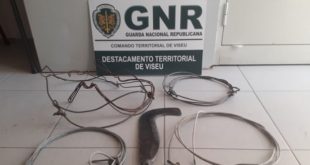 GNR deteve homem por caça com meios proibidos