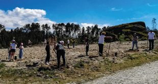 A Junta de Silvã de Cima, no concelho de Sátão realizou uma ação de reflorestação na freguesia.