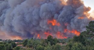 Incêndios de Castro Daire e Vila Nova de Paiva foram dos maiores de 2024