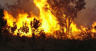 Mangualde: Incêndio obrigou a retirar pessoas de suas casas e levadas para IPSS´s