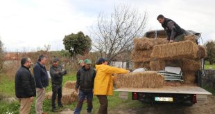 Carregal do Sal: Município entregou fardos de palha e rações aos produtores do concelho