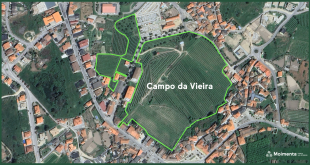 Câmara formaliza aquisição do “Campo da Vieira”