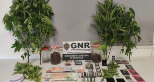 Sátão: GNR deteve homem por tráfico de estupefacientes