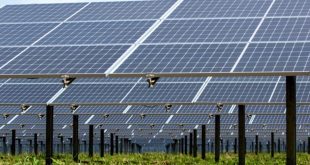 Tarouca: Vai ser inaugurado Parque Fotovoltaico esta quarta-feira