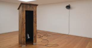Nova exposição com marca Serralves chega a Lamego