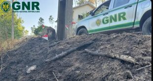 Castro Daire: GNR deteve homem por Incêndio Florestal