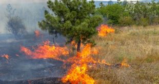 Incêndio em Ferreira de Aves mobiliza mais de uma centena de bombeiros