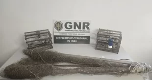 Viseu: GNR deteve homem por caça com meios proibidos