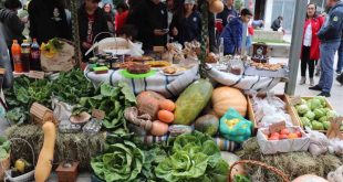 Agrupamento de Escolas de V. N. Paiva promove mais uma “Feira dos Sabores”