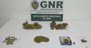 São Pedro do Sul: GNR constituiu um homem por tráfico de estupefacientes