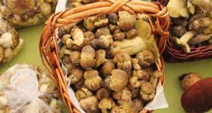 INSCRIÇÕES ABERTAS PARA A XVIII EDIÇÃO DA FEIRA DO MÍSCARO