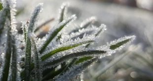 Viseu: Aviso Amarelo devido às temperaturas negativas e formação de geada