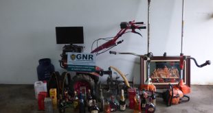 Penacova – Constituídos arguidos por furtos em residências