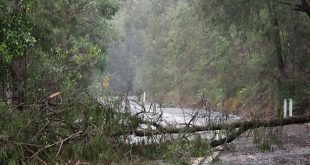 Mau tempo deixa Viseu com 2,5 milhões de euros de prejuízos