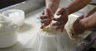 Casa da Ínsua conquista três medalhas de prata no 16.º Concurso Nacional de Queijos